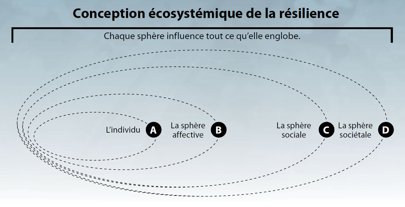 Graphique : Conception écosystémique de la résilience